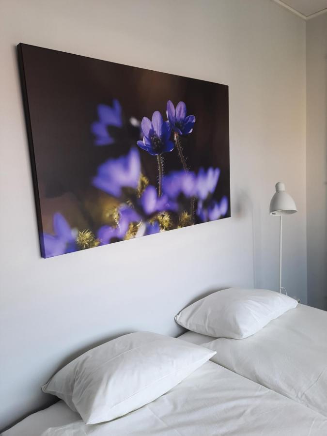 Broholm Bed&Breakfast Lidköping エクステリア 写真